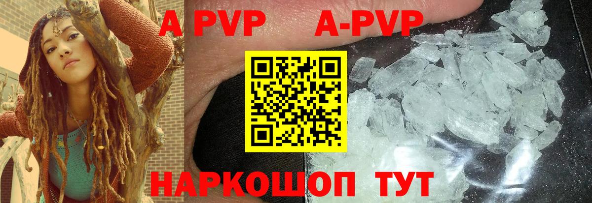 A-PVP СК КРИС Нефтекумск