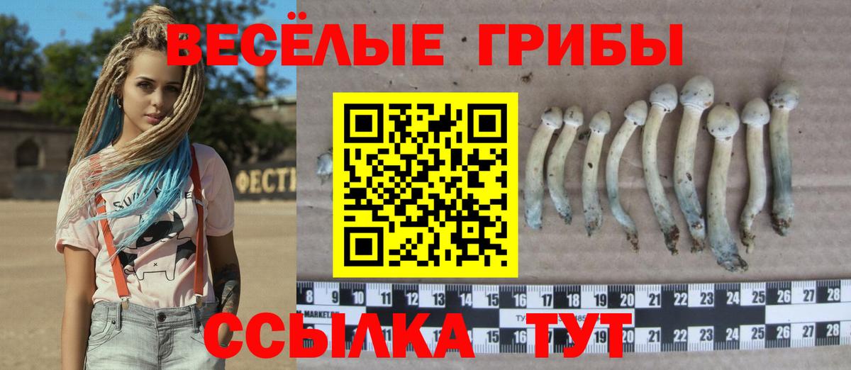 Псилоцибиновые грибы Magic Shrooms  Вход с VPN  Нефтекумск 